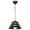 Миниатюра фото подвесной светильник lussole loft beijing grlsp-8131 | 220svet.ru