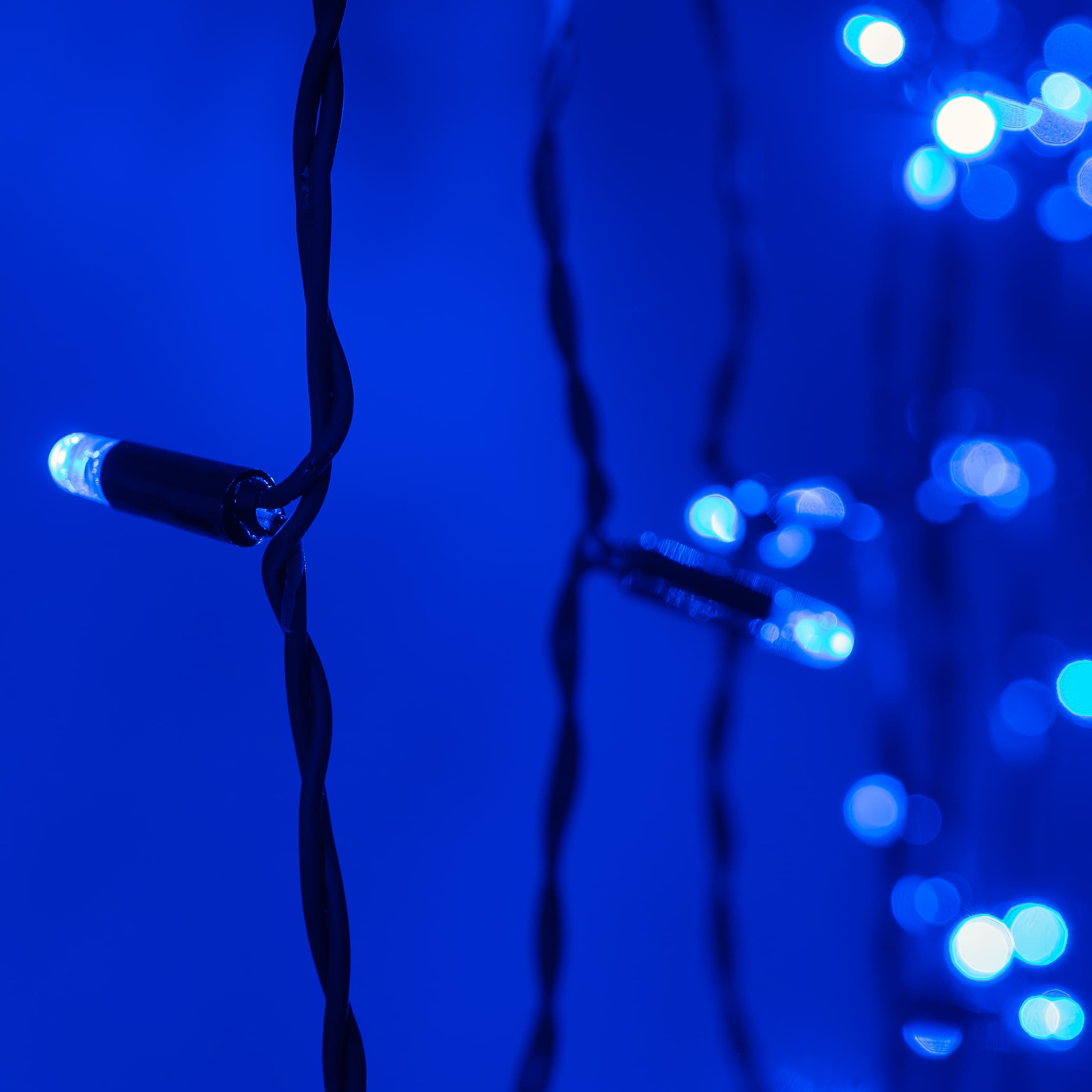 фото гирлянда занавес 2x2м синий 220в провод черный каучук ip65 ltc eco402-1-2b | 220svet.ru