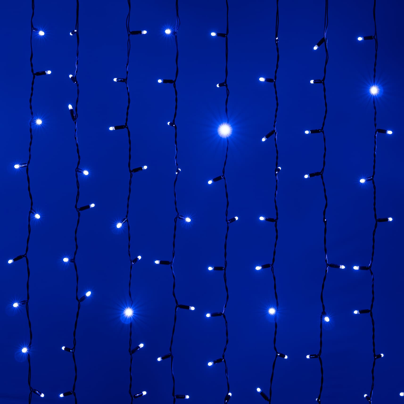 фото гирлянда занавес 2x2м синий 220в провод черный каучук ip65 ltc eco402-1-2b | 220svet.ru