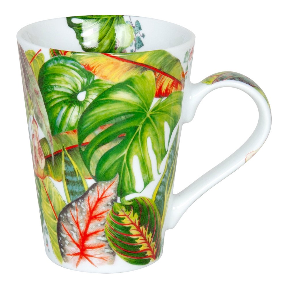 фото кружка "городские джунгли" koenitz | 220svet.ru