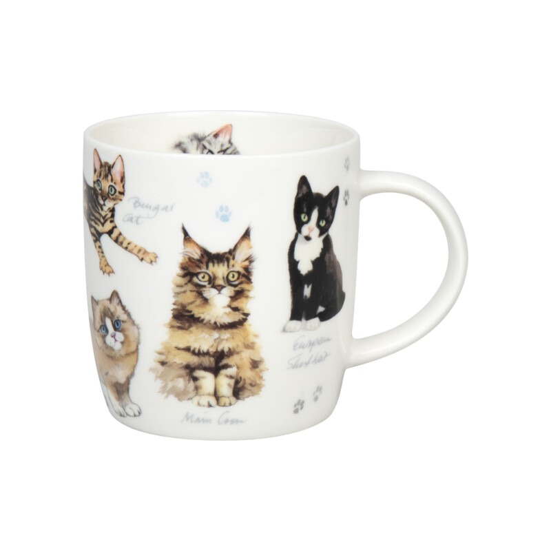 фото кружка "разнообразие природы" - котята koenitz | 220svet.ru