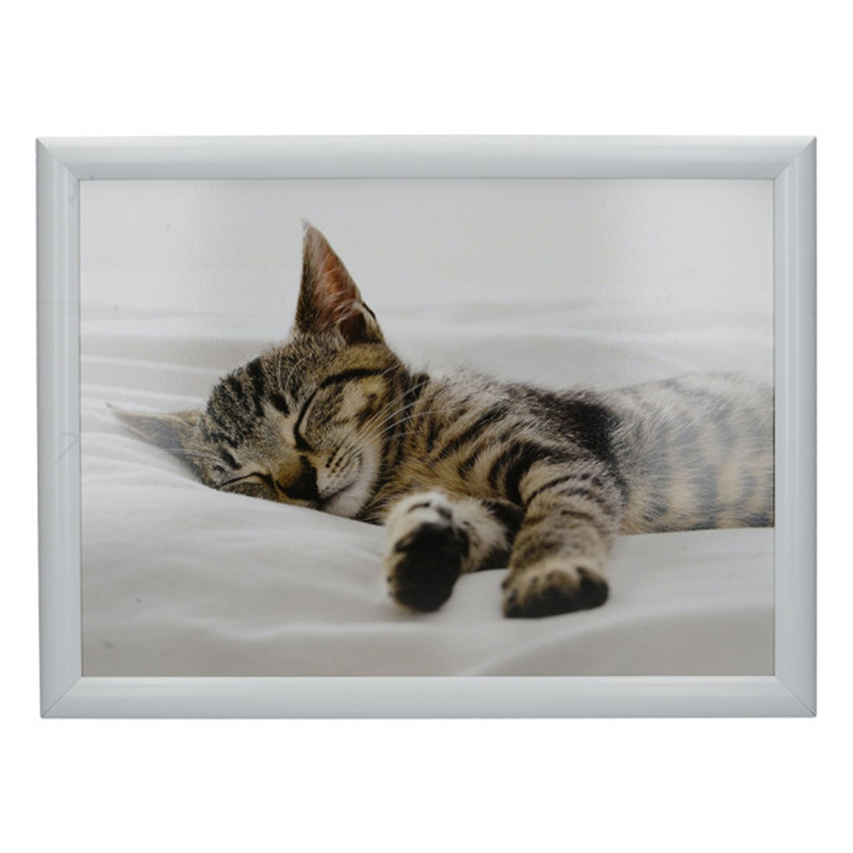 фото поднос с подушкой sleeping kitten creative tops | 220svet.ru