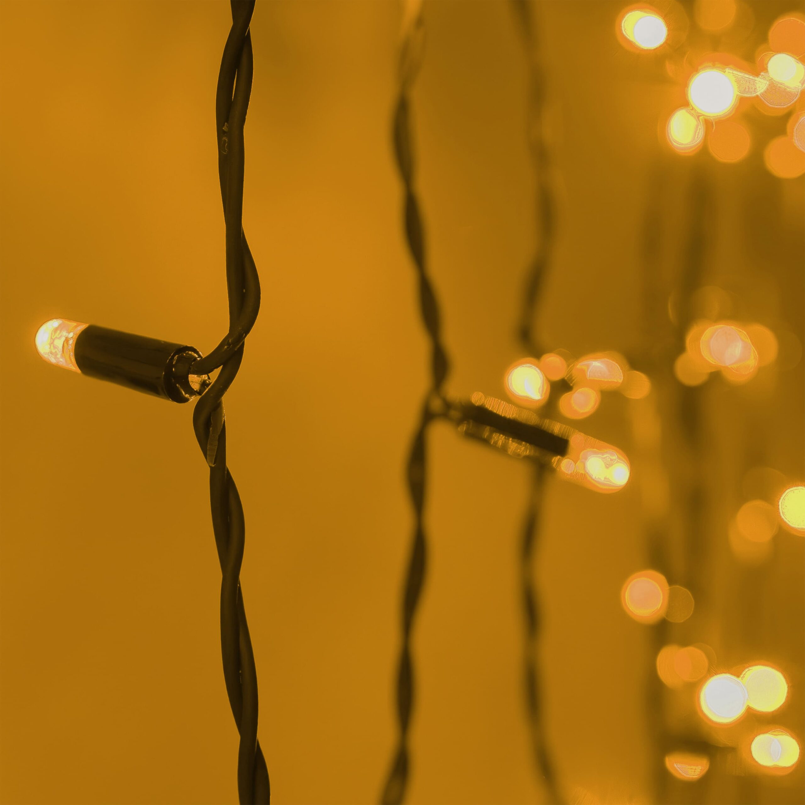 фото гирлянда занавес 2x2м желтый 220в провод черный каучук ip65 ltc eco402-1-2y | 220svet.ru