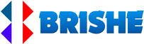 Brishe - купить недорого в интернет магазине 220svet.ru