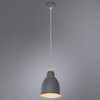 Миниатюра фото подвесной светильник arte lamp braccio a2054sp-1gy | 220svet.ru