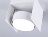 Миниатюра фото потолочный светильник ambrella light tn70841 | 220svet.ru