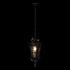 Миниатюра фото уличный подвесной светильник loft it verona 100003p | 220svet.ru