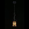 Миниатюра фото подвесной светильник aployt simona apl.500.06.01 | 220svet.ru
