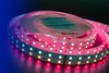 Миниатюра фото влагозащищенная лента designled 28,8w/m 120led/m 5050smd разноцветный/холодный белый 5m 000514 | 220svet.ru