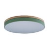 Миниатюра фото потолочный светодиодный светильник loft it axel 10001/36 green | 220svet.ru