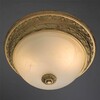 Миниатюра фото потолочный светильник arte lamp piatti a8014pl-2wa | 220svet.ru