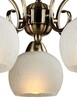 Миниатюра фото подвесная люстра arte lamp margo a9316lm-5ab | 220svet.ru