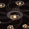 Миниатюра фото потолочная светодиодная люстра mw-light адриатика 3 280011517 | 220svet.ru