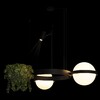 Миниатюра фото подвесной светодиодный светильник loft it jardin 10121/2 | 220svet.ru