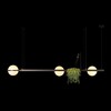Миниатюра фото подвесной светодиодный светильник loft it jardin 10121/c dark grey | 220svet.ru