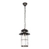 Миниатюра фото уличный подвесной светильник loft it palermo 100015p | 220svet.ru
