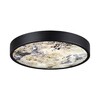 Миниатюра фото настенно-потолочный светодиодный светильник odeon light bergi 5064/24l черный | 220svet.ru
