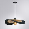 Миниатюра фото подвесной светильник arte lamp woodstock a7059sp-1bk | 220svet.ru