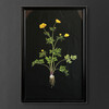 Миниатюра фото постер жёлтый цветок roomers to-aibtc381pffrftz | 220svet.ru