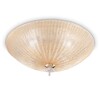 Миниатюра фото потолочный светильник ideal lux shell pl4 ambra | 220svet.ru