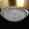 Миниатюра фото подвесной светодиодный светильник de markt капелия 730010701 | 220svet.ru