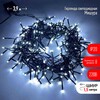Миниатюра фото светодиодная гирлянда эра мишура 220v холодный белый - gc б0047969 | 220svet.ru