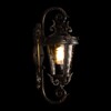 Миниатюра фото уличный настенный светильник loft it verona 100003w | 220svet.ru