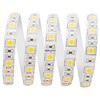 Миниатюра фото влагозащищенная лента apeyron 14,4w/m 60led/m 5050smd холодный белый 5m 00-318 | 220svet.ru