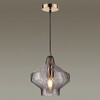 Миниатюра фото подвесной светильник lumion dove 4587/1 | 220svet.ru