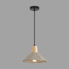 Миниатюра фото подвесной светильник lumion eoliana 8351/1a черный | 220svet.ru