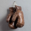 Миниатюра фото перчатки для бокса restoration hardware t-spo-od-0019-z | 220svet.ru