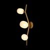 Миниатюра фото настенный светильник loft it sakura 10212w gold | 220svet.ru