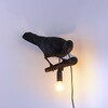 Миниатюра фото настенный светильник bird lamp black looking right | 220svet.ru