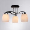 Миниатюра фото потолочная люстра arte lamp krit a4505pl-3bk | 220svet.ru