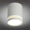 Миниатюра фото потолочный светодиодный светильник omnilux fortezza oml-100109-12 | 220svet.ru