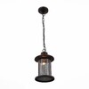Миниатюра фото уличный подвесной светильник st luce lastero sl080.403.01 | 220svet.ru