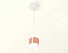 Миниатюра фото комплект подвесного светильника ambrella light techno spot xp (a2331, c8122,n8401) xp8122025 | 220svet.ru