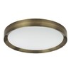 Миниатюра фото потолочный светодиодный светильник odeon light lunor 4948/60cl | 220svet.ru