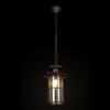 Миниатюра фото уличный подвесной светильник loft it palermo 100015p | 220svet.ru