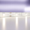 Миниатюра фото светодиодная лента led strip 24в maytoni 10164 | 220svet.ru