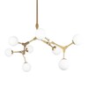 Миниатюра фото подвесной светильник loft it palmira 10191/8 gold | 220svet.ru