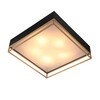 Миниатюра фото потолочный светильник st luce chodo sl1127.422.05 | 220svet.ru
