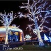 Миниатюра фото гирлянда на деревья, луч 2, 2х25м., 50м., 500 led, 220/24b., холодный белый, без мерцания, черный пвх провод. 05-1756 | 220svet.ru