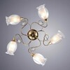 Миниатюра фото потолочная люстра arte lamp mughetto a9289pl-5go | 220svet.ru