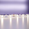 Миниатюра фото светодиодная лента maytoni technical 12w/m дневной белый 5m 20045 | 220svet.ru