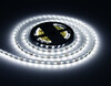 Миниатюра фото светодиодная лента 14.4w 24v 6500k ambrella light  illumination led strip gs4003 | 220svet.ru