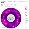 Миниатюра фото светодиодная гирлянда эра нить сиреневый -5np б0047961 | 220svet.ru