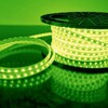 Миниатюра фото светодиодная влагозащищенная лента elektrostandard 4,8w/m 60led/m 2835smd зеленый 50m 4690389137556 | 220svet.ru