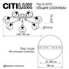 Миниатюра фото потолочная люстра на штанге citilux tika cl133170 | 220svet.ru