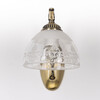 Миниатюра фото бра mw-light amanda 481024801 | 220svet.ru